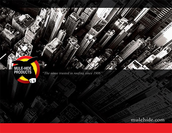 Wertz and Company Images