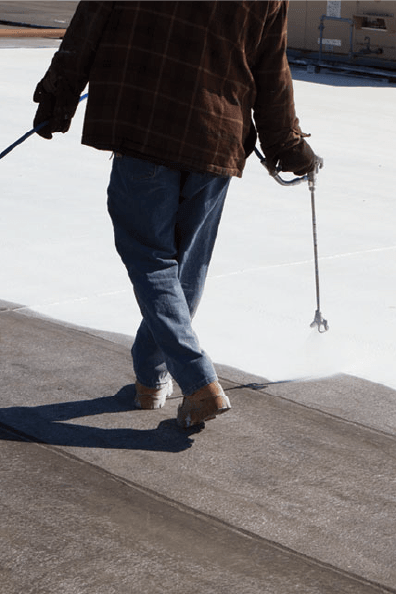 Wertz and Company Images