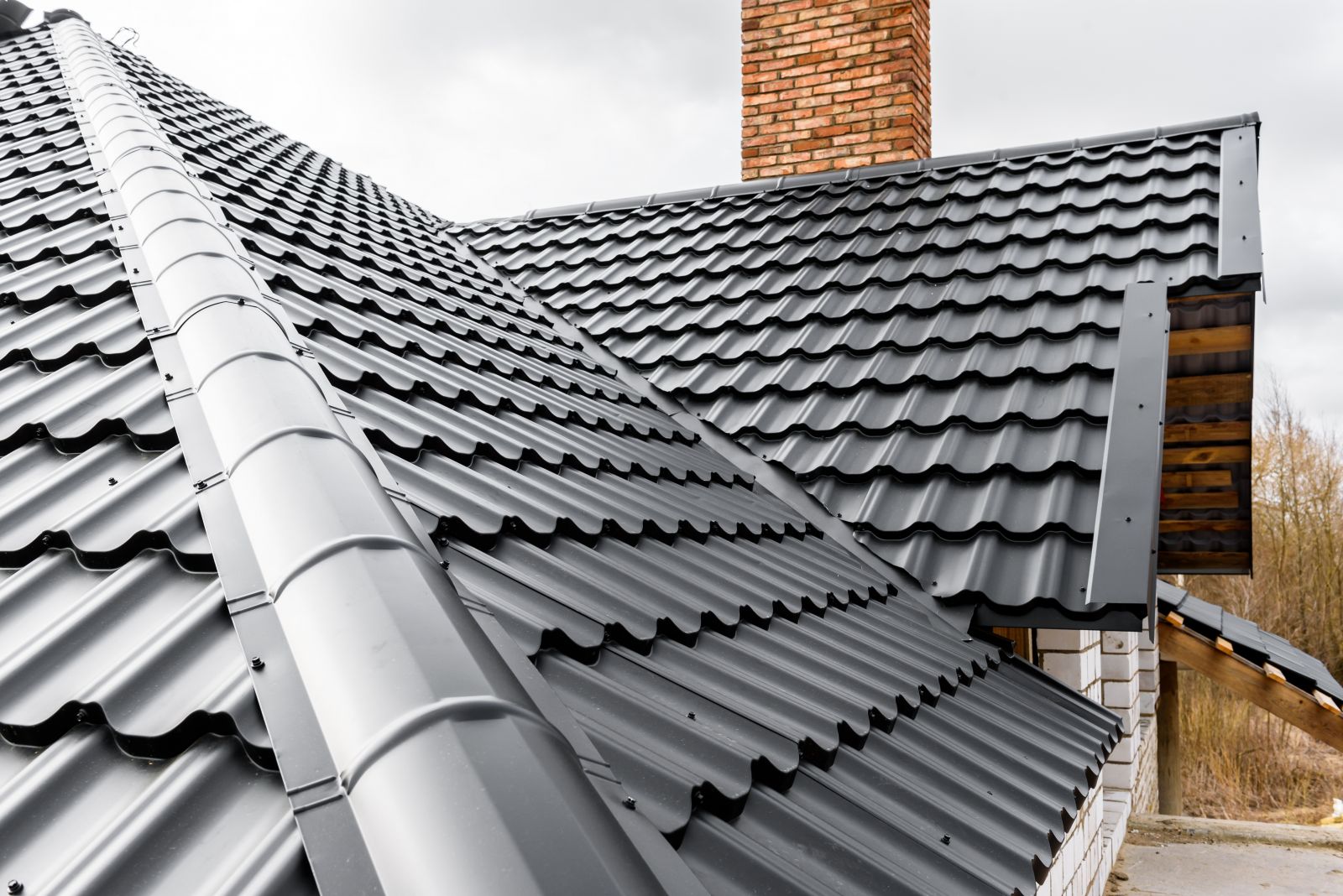 Metal Roofing Service Image